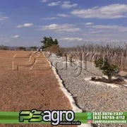 Fazenda / Sítio / Chácara com 1 Quarto à venda, 6000m² no , Itatuba - Foto 3