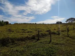 Fazenda / Sítio / Chácara com 3 Quartos à venda, 880000m² no Silva Campos, Pompéu - Foto 15