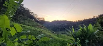 Fazenda / Sítio / Chácara com 4 Quartos à venda, 24000m² no Arrozal, Piraí - Foto 32