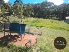 Fazenda / Sítio / Chácara com 2 Quartos à venda, 4200m² no Centro, Biritiba Mirim - Foto 10