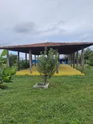 Fazenda / Sítio / Chácara com 4 Quartos à venda, 40000m² no Zona Rural, Monte Alegre - Foto 9