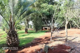 Fazenda / Sítio / Chácara com 2 Quartos à venda, 196m² no Santos Dumont, Cascavel - Foto 6