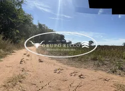 Fazenda / Sítio / Chácara à venda no Zona Rural, Bom Jardim de Goiás - Foto 9