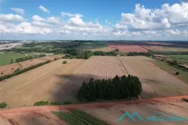 Fazenda / Sítio / Chácara com 6 Quartos à venda, 145200m² no , Mandaguaçu - Foto 15