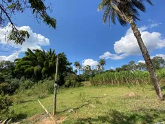 Fazenda / Sítio / Chácara com 3 Quartos à venda, 200m² no , Mateus Leme - Foto 19