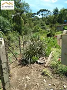 Fazenda / Sítio / Chácara com 3 Quartos à venda, 20000m² no Espigão das Antas, Mandirituba - Foto 23