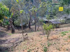 Fazenda / Sítio / Chácara com 2 Quartos à venda, 7000m² no , Coronel Pacheco - Foto 22