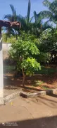 Terreno / Lote / Condomínio à venda, 430m² no Jardim América, Goiânia - Foto 17