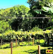 Fazenda / Sítio / Chácara à venda, 84000m² no Vila Germania, Nova Petrópolis - Foto 57