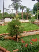 Fazenda / Sítio / Chácara com 3 Quartos à venda, 5000m² no Jardim Veneza, São José do Rio Preto - Foto 6