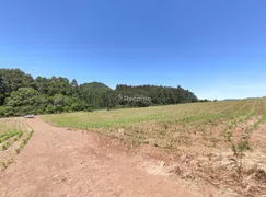 Fazenda / Sítio / Chácara à venda, 22500m² no , Gramado - Foto 9