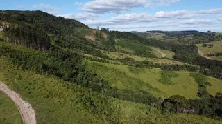 Fazenda / Sítio / Chácara à venda, 3025000m² no Zona Rural, Ibiporã - Foto 11