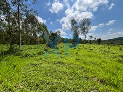 Fazenda / Sítio / Chácara com 2 Quartos à venda, 60m² no Zona Rural, São Sebastião do Oeste - Foto 19