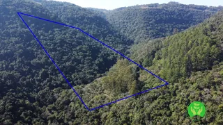 Fazenda / Sítio / Chácara à venda, 75625m² no Zona Rural, Monte Belo do Sul - Foto 1