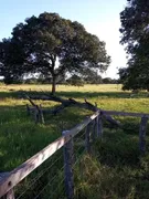 Fazenda / Sítio / Chácara à venda no Zona Rural, Urucuia - Foto 2