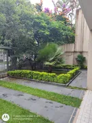 Casa com 4 Quartos à venda, 260m² no Bela Aliança, São Paulo - Foto 7