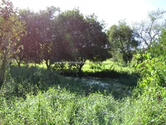 Fazenda / Sítio / Chácara com 2 Quartos à venda, 45000m² no Maraporã, Cachoeiras de Macacu - Foto 11