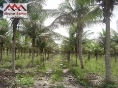 Fazenda / Sítio / Chácara com 6 Quartos à venda, 6350000m² no Guaiú, Santa Cruz Cabrália - Foto 33