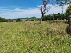 Fazenda / Sítio / Chácara com 4 Quartos à venda, 121000m² no Zona Rural, Cássia dos Coqueiros - Foto 8