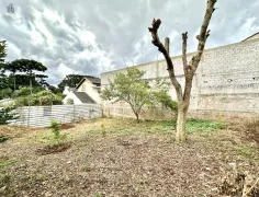 Terreno / Lote / Condomínio à venda, 259m² no Boneca do Iguaçu, São José dos Pinhais - Foto 14