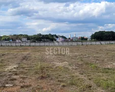 Terreno / Lote Comercial para alugar, 10000m² no Colônia Murici, São José dos Pinhais - Foto 9