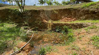 Fazenda / Sítio / Chácara com 3 Quartos à venda, 140m² no Nova Descoberta, Tijucas - Foto 23