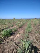 Fazenda / Sítio / Chácara com 2 Quartos à venda, 4000000m² no Zona Rural, Pompéu - Foto 1