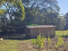 Fazenda / Sítio / Chácara à venda, 95000m² no Centro, Lagoinha - Foto 28