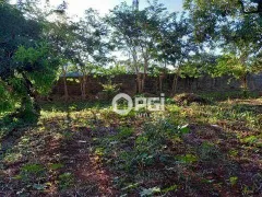 Terreno / Lote Comercial para alugar, 3000m² no Ribeirânia, Ribeirão Preto - Foto 3