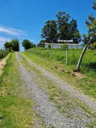 Fazenda / Sítio / Chácara com 5 Quartos à venda, 500m² no Area Rural de Itapetininga, Itapetininga - Foto 4