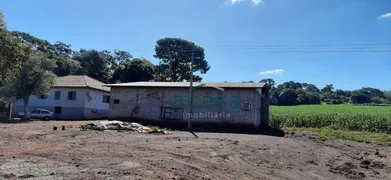 Fazenda / Sítio / Chácara à venda, 251500m² no Iguipora, Marechal Cândido Rondon - Foto 14