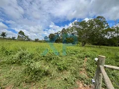 Fazenda / Sítio / Chácara com 3 Quartos à venda, 290m² no Zona Rural, São Sebastião do Oeste - Foto 67