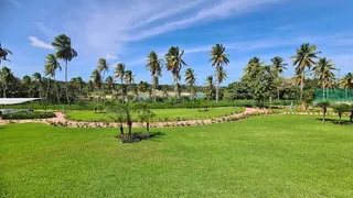 Terreno / Lote / Condomínio à venda, 1387m² no Lagoa do Bonfim, Nísia Floresta - Foto 3