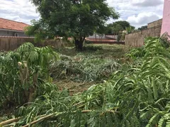 Terreno / Lote / Condomínio à venda, 491m² no City Ribeirão, Ribeirão Preto - Foto 1