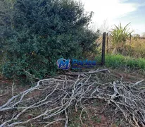 Fazenda / Sítio / Chácara com 1 Quarto à venda, 60m² no Centro, Tanabi - Foto 19