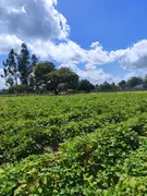 Fazenda / Sítio / Chácara com 3 Quartos à venda, 14400m² no Zona Rural, Monte Alegre - Foto 28
