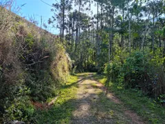 Fazenda / Sítio / Chácara com 2 Quartos à venda, 3436444m² no São Francisco Xavier, São José dos Campos - Foto 22