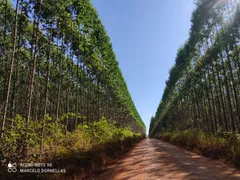 Casa com 5 Quartos à venda, 500m² no Zona Rural, Felixlândia - Foto 10