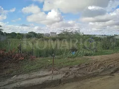 Terreno / Lote / Condomínio à venda no , Queimadas - Foto 3