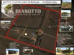 Fazenda / Sítio / Chácara com 6 Quartos à venda, 1m² no Centro, Conchal - Foto 4