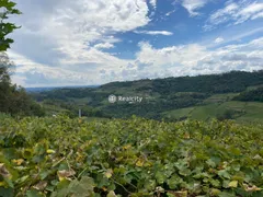 Terreno / Lote / Condomínio à venda no Centro, Monte Belo do Sul - Foto 8