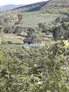 Fazenda / Sítio / Chácara com 11 Quartos à venda, 440000m² no Zona Rural, Lençóis - Foto 80