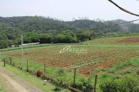 Fazenda / Sítio / Chácara com 3 Quartos à venda, 450m² no Ponte Alta, Guararema - Foto 12