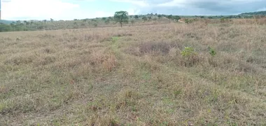 Fazenda / Sítio / Chácara com 3 Quartos à venda, 1340000m² no Area Rural de Ceilandia, Brasília - Foto 82