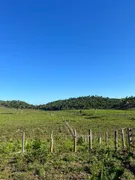 Fazenda / Sítio / Chácara à venda no , Itapecuru Mirim - Foto 1