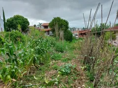 Terreno / Lote / Condomínio à venda no Colina Sorriso, Caxias do Sul - Foto 4