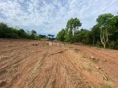 Terreno / Lote / Condomínio à venda, 96000m² no , Santa Tereza - Foto 15