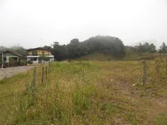 Terreno / Lote / Condomínio para alugar, 440m² no Charqueadas, Caxias do Sul - Foto 3