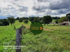 Fazenda / Sítio / Chácara à venda, 3630000m² no Zona Rural, Porangatu - Foto 15