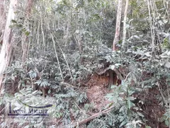 Fazenda / Sítio / Chácara com 9 Quartos à venda, 2420000m² no Sacra Família do Tinguá, Engenheiro Paulo de Frontin - Foto 27